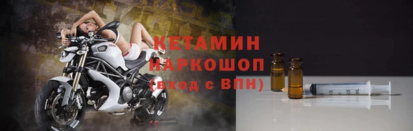 гашик Гусев