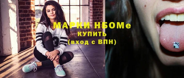 гашик Гусев