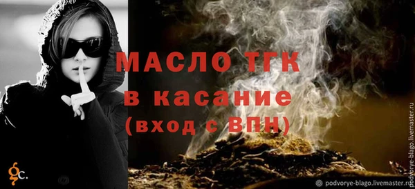 гашик Гусев