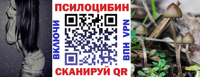 Псилоцибиновые грибы мицелий Новый Оскол