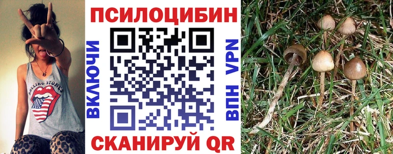 Галлюциногенные грибы MAGIC MUSHROOMS  Купить где  Новый Оскол 